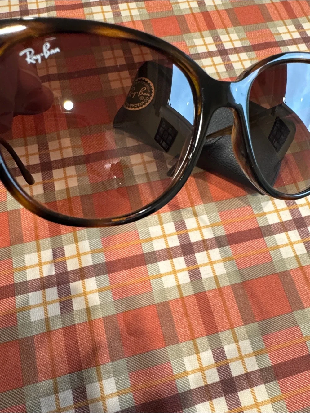 Ray Ban RB4378 Sunglasses